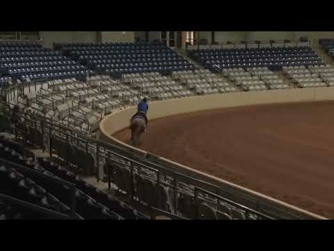 220820 Open Futurity Gilad Susman on Dreaming Of Juice