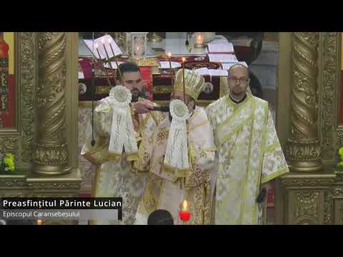 Preasfințitul Părinte Lucian, Episcopul Caransebeșului - Doamne, Doamne, caută din Cer și vezi