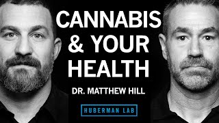 How Cannabis Impacts Health & the Potential Risks | Dr. Matthew Hill