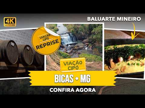 BICAS: PRECIOSIDADE na ZONA da MATA MINEIRA!! | A Viação Cipó te conta tudo!