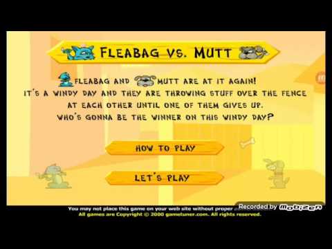 Cat vs dog Bölüm 1 (CEZALI)