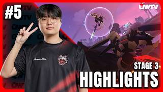 Best plays from OWCS #5 | Feat. Proud, Sugarfree, zeruhh