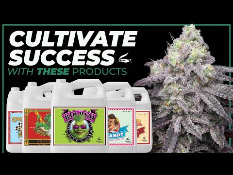 Cultivate Success With These Products