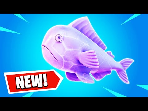 YouTube video about: What is the zero point fish?