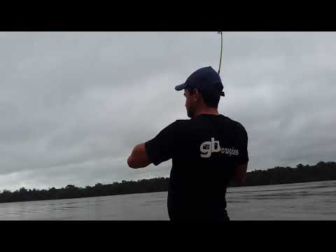 João Paca - Colíder MT