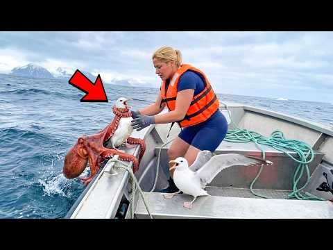 Animals That Asked People for Help & Kindness