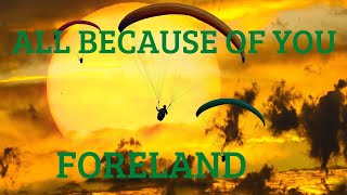 ALL BECAUSE OF YOU - FORELAND