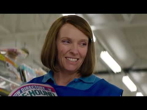 o cavalo dos meus sonhos