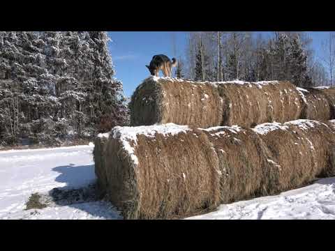 Sundre fun March 5 - 6 2022