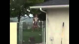 Dog jumps over fence