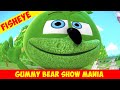 The Record Fisheye Low Pitch Gummy Bear Show MANIA