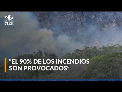 Alerta roja en varios municipios del departamento del Tolima por incendios forestales