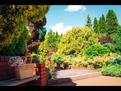 Agroturystyka Ptasi Ogród