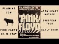 Pink Floyd, Full Concert, Copenhagen, 12 November 1970