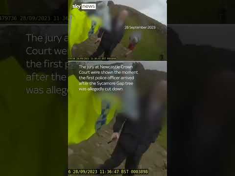 Two men found guilty of cutting down famous Sycamore Gap tree
