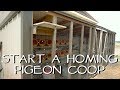 How To Start Your Own Homing Pigeon Loft