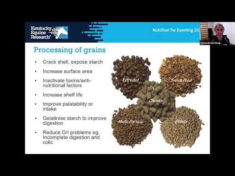Webinar: Principles of Nutrition for Eventing Horses