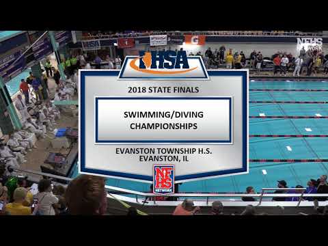 2018 IHSA Boys Swimming & Diving State Finals