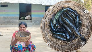 Snakehead Murrel Fish — Cooking And Eating — Santali Tribe