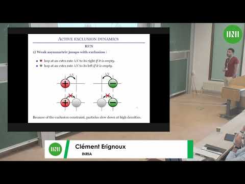 Prof. Clément Erignoux | Modelling active matter by active lattice gases : exact hydrodynamic...