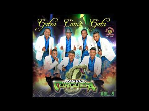 GATEA COMO GATA - MISTER CORCUERA