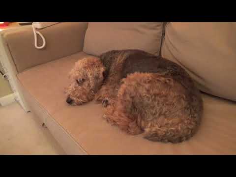 Christmas 2017 | Behind the Scenes 1