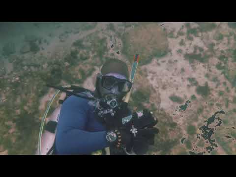 Diving at Fish Pond in Montego Bay, Jamaica
