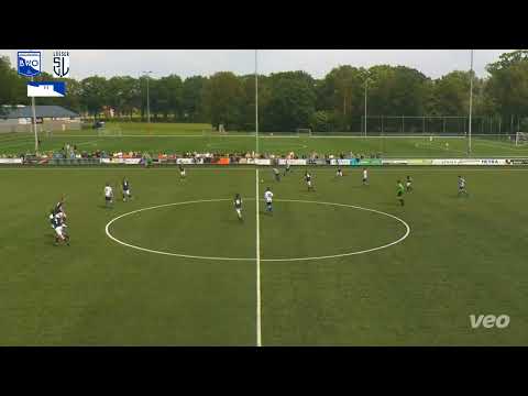 Samenvatting BWO - SV Losser