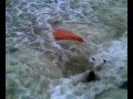 Stupid Kayaker Almost Drowns Pulling Stunt 