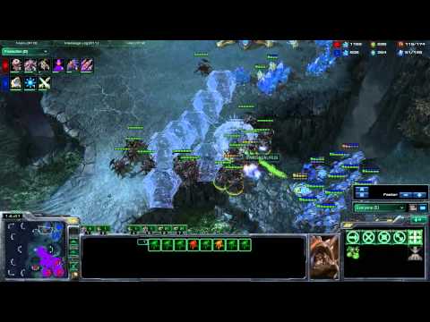 SC2 Master League Ladder: RedHerring (P) vs SWAGASUARUS (Z)