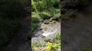 2022 Wade's Mill, Raphine, VA