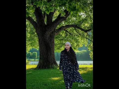 Sora camelia doamne te rog nu ne lasa cover 2026