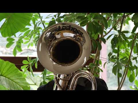 JADRANSKO MORJE - Anton Hajdrih