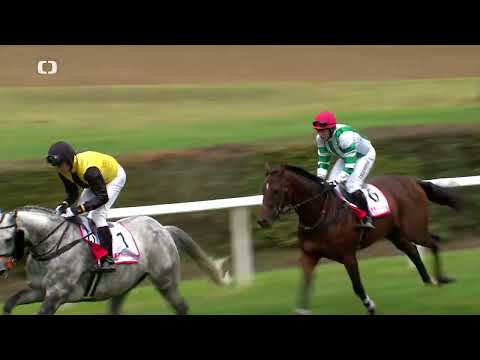 11. 10. 2025 - 6. dostih - Křišťálový pohár města Pardubic za podpory závodiště Wroclaw