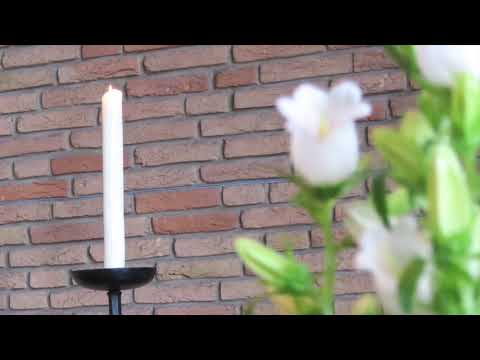 Erleuchte und bewege uns, EG 608