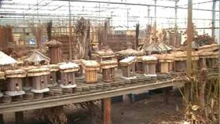 Wilgenvlechter Ad van Heist, Haarsteeg