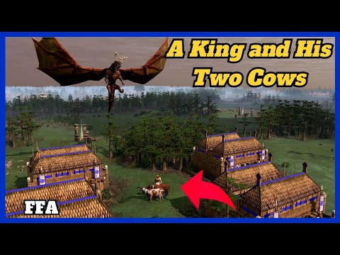 A tale of a king and his two cows | BBB FFA Qualifier 2