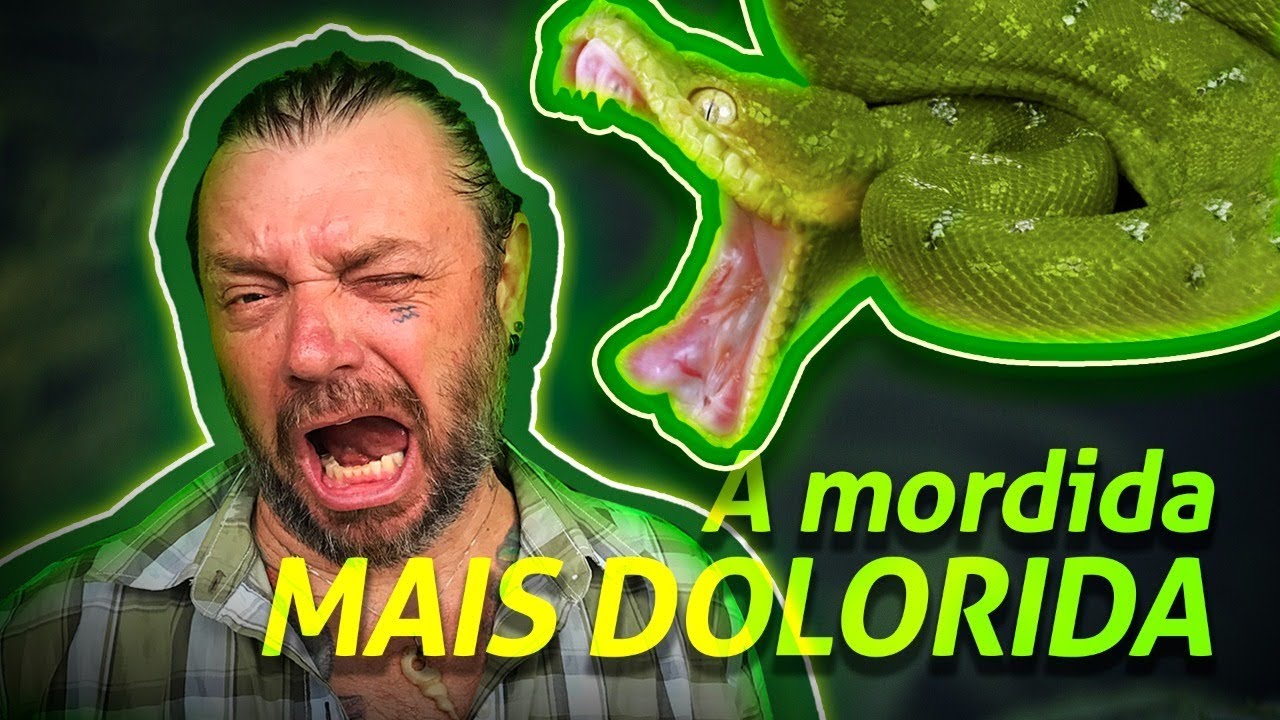 COBRA-PAPAGAIO, A MORDIDA MAIS DOLORIDA! | RICHARD RASMUSSEN