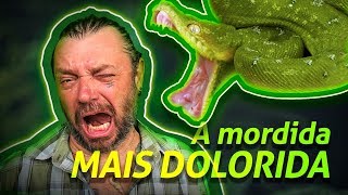 Miniatura do vídeo