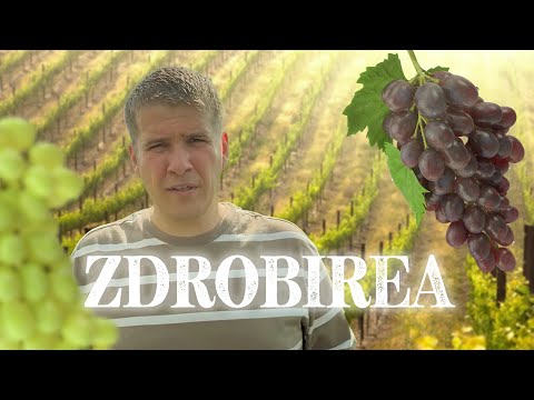 Cristi Boariu - Zdrobirea