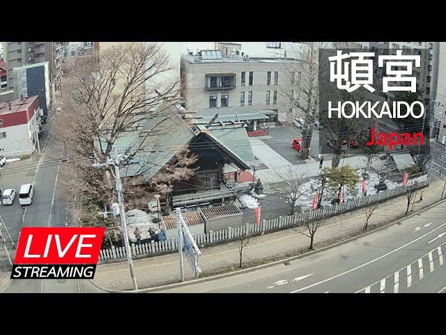 【LIVE】北海道神宮 頓宮 cctv 監視器 即時交通資訊