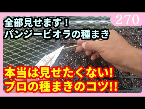 園芸 カバーの下で播種する