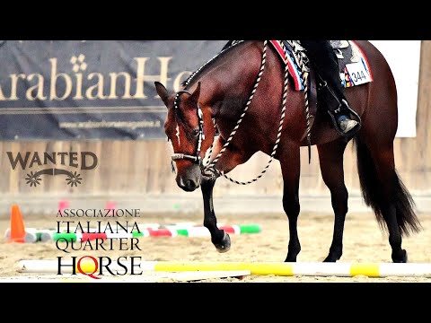 AIQH 2023 - Spring Western Show - Sabato 18 Marzo 2023