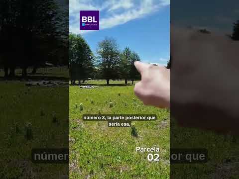 Video del lote