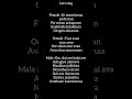 Oorum Blood Song Lyrics