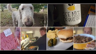 DILT:  Chit Chat, Sloppy Joes... Feeling a Smidge Under the Weather