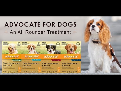 Advocate For Dogs Review, Benefits, Side Effect, Safety Measures | Flea, Tick, Heartworm | VetSupply