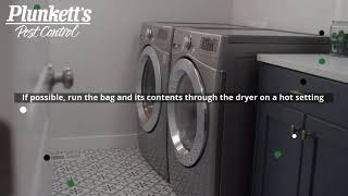 Don&#39;t Let the Bed Bugs Bite: 4 Habits to Prevent Bed Bugs