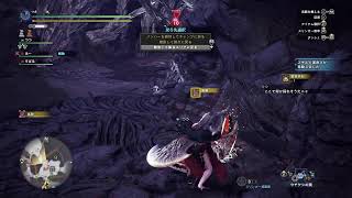 [モンハンIB]お二人様