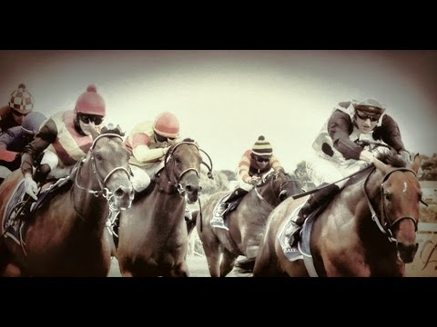 L’Ormarins Queen's Plate 154 (2015)